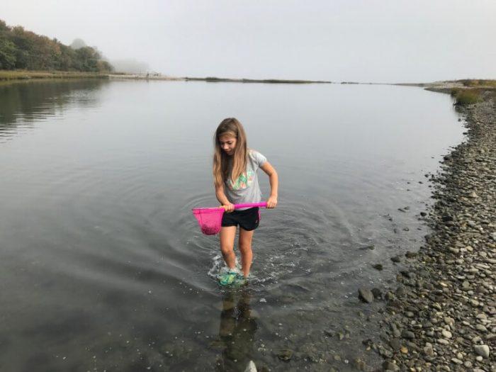 Narragansett Bay Study – Montessori Great Lessons Narragansett Bay Study - Montessori Great Lessons