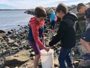 Narragansett Bay Study 1