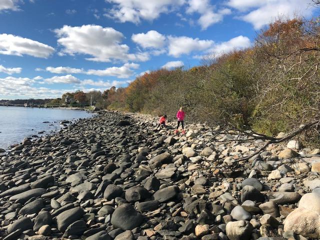 Narragansett Bay Study 2