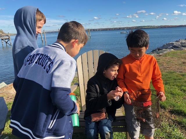 Narragansett Bay Study 3