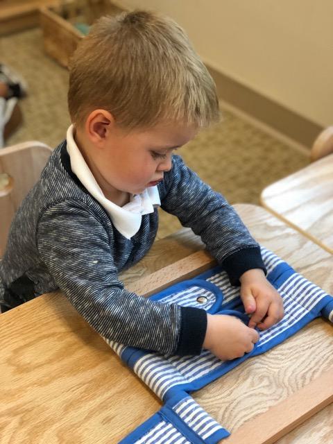 Toddler: The Journey of Independence 3