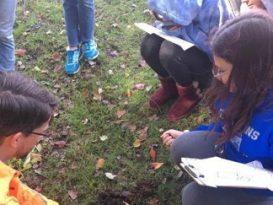 Middle School Student Newsletter, 10/26/18 9