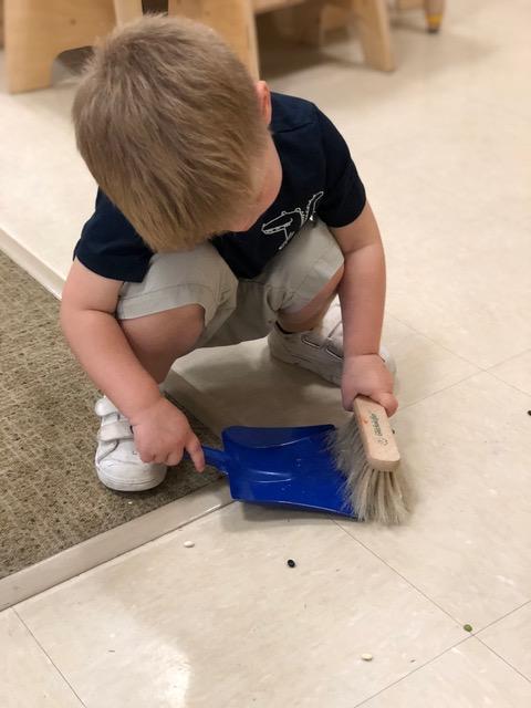 Toddler: The Journey of Independence 4