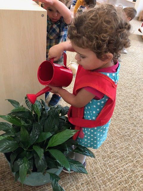 Toddler: The Journey of Independence 5