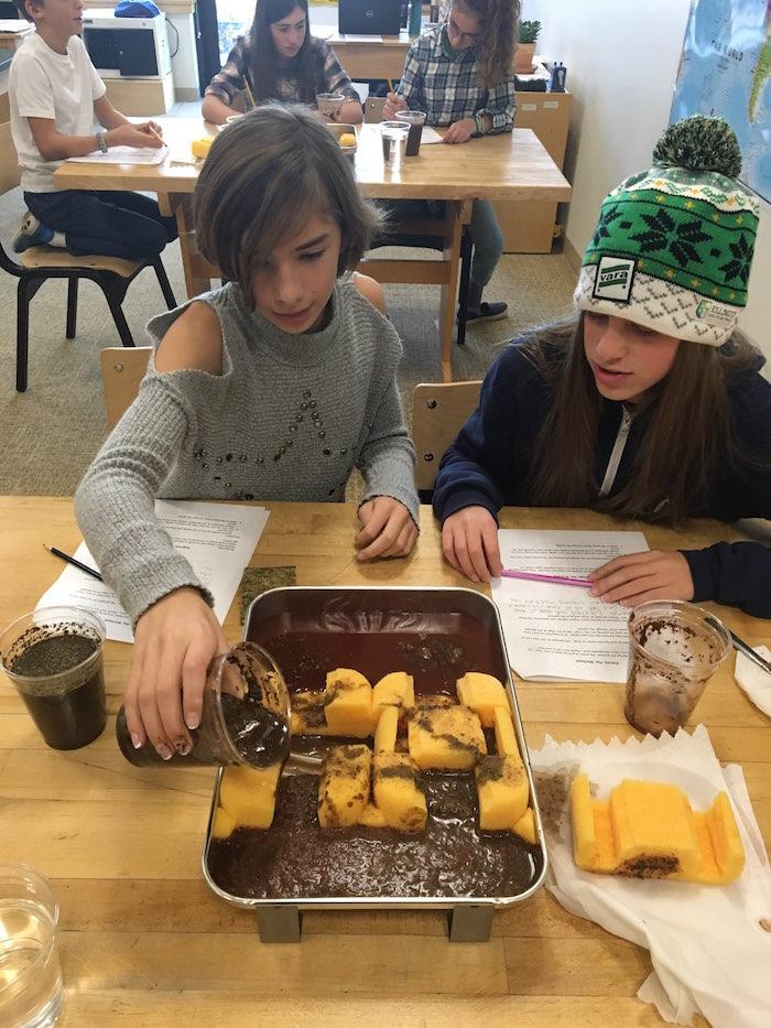 Middle School Student Newsletter, 11/30/18 1 Middle School Student Newsletter, 11/30/18