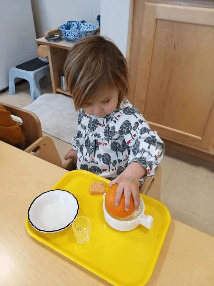 The "Practical Life" of the Montessori Toddler