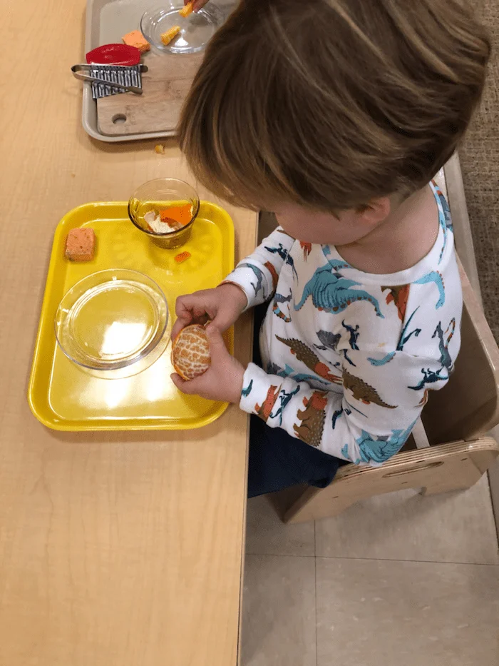 The "Practical Life" of the Montessori Toddler