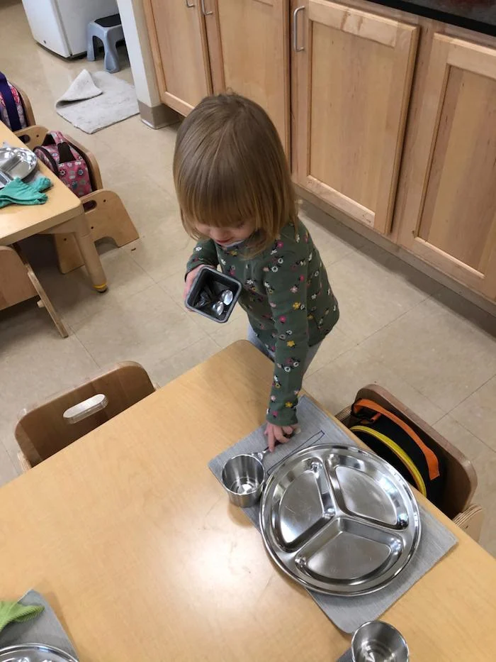 The "Practical Life" of the Montessori Toddler