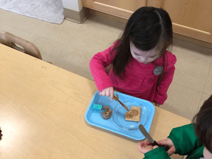 The "Practical Life" of the Montessori Toddler
