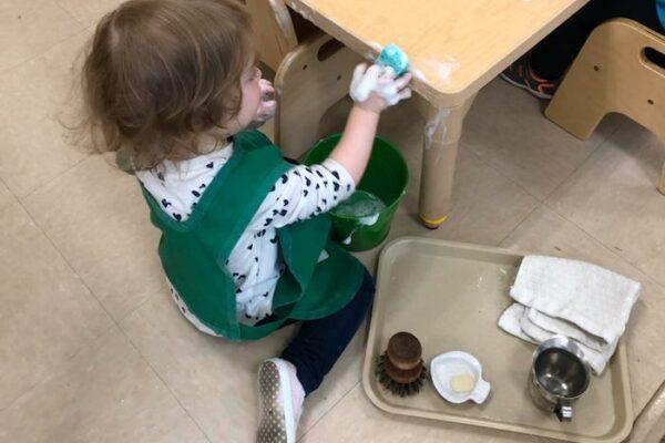 The "Practical Life" of the Montessori Toddler