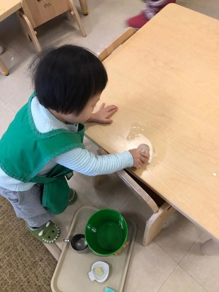 The "Practical Life" of the Montessori Toddler