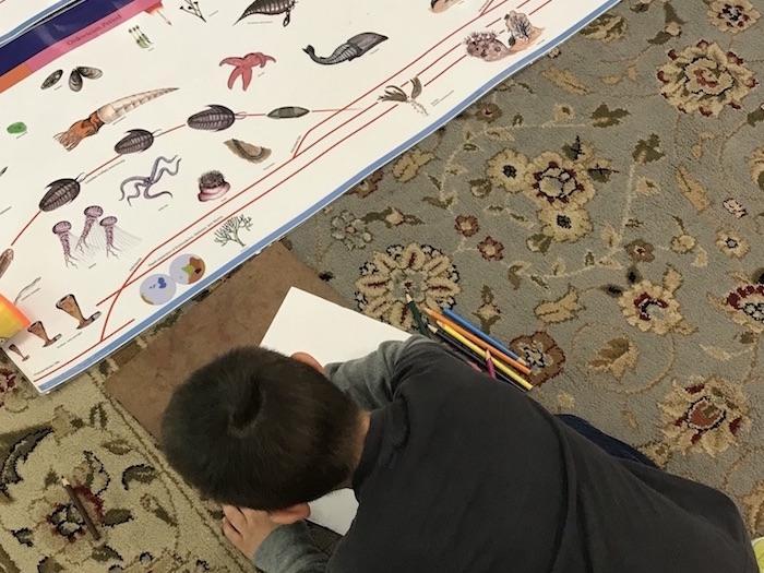 Recreating the Timeline of Life horizontal Lower Elementary 3