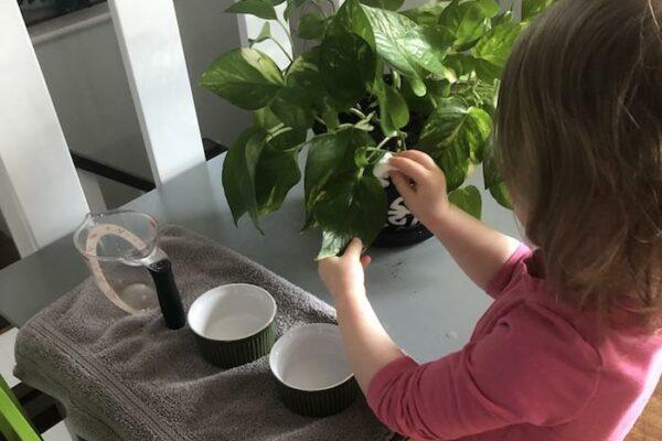 Child Plant Care