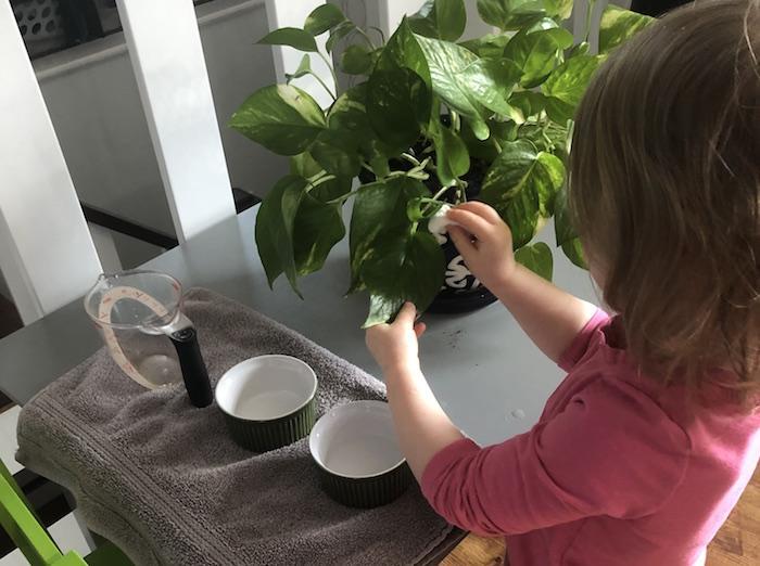 Child Plant Care