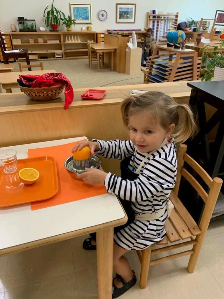 Primary Practical Life 7 Orange juicing Private-School-RI-Montessori