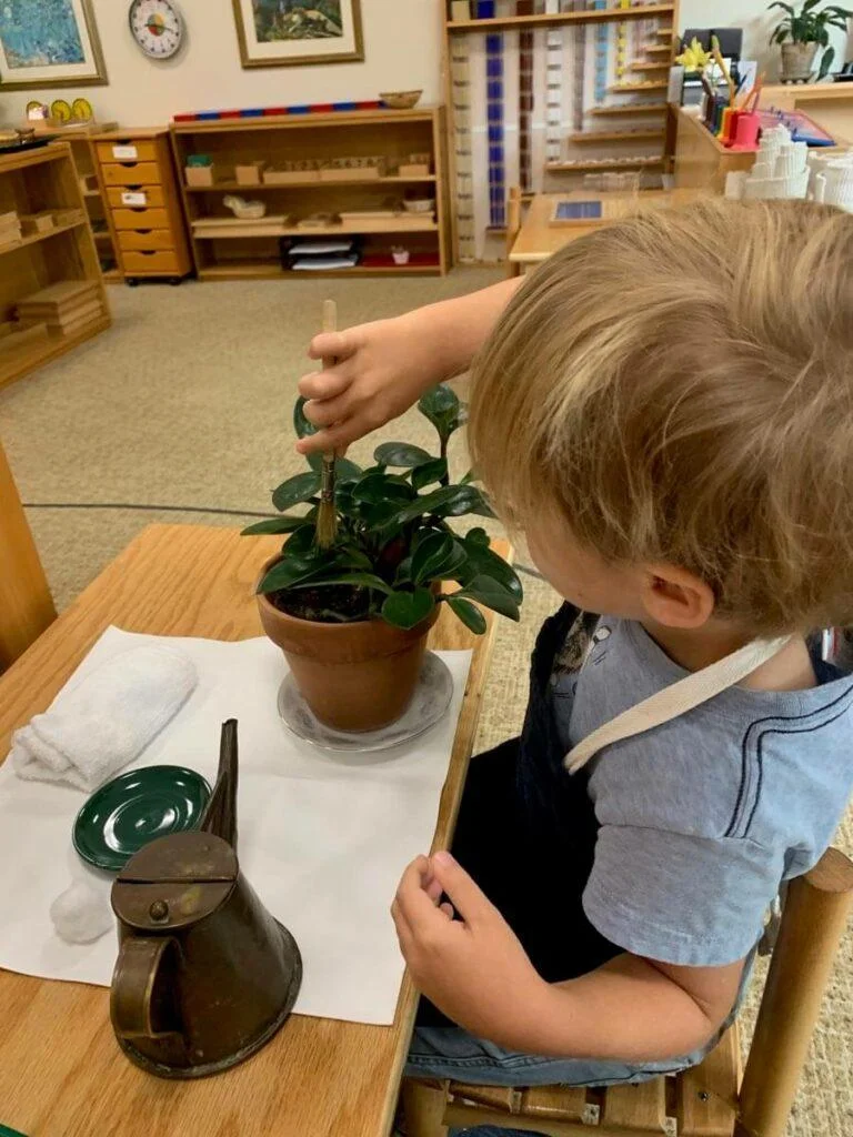 Primary Practical Life 1 Plant work Private-School-RI-Montessori