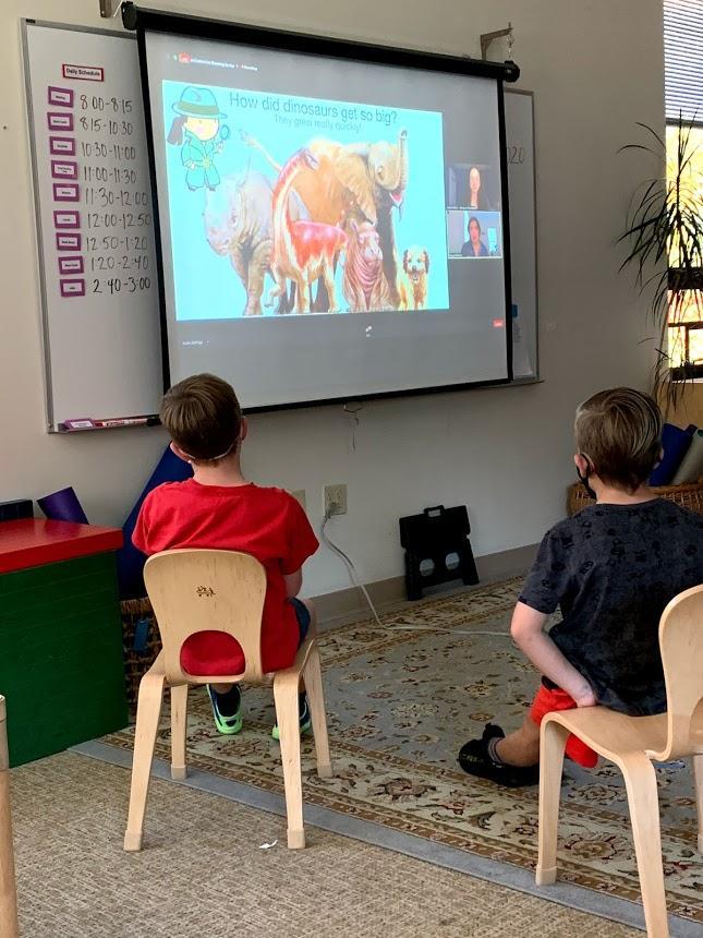 Watching the The Harvard Museum of Natural History presentation