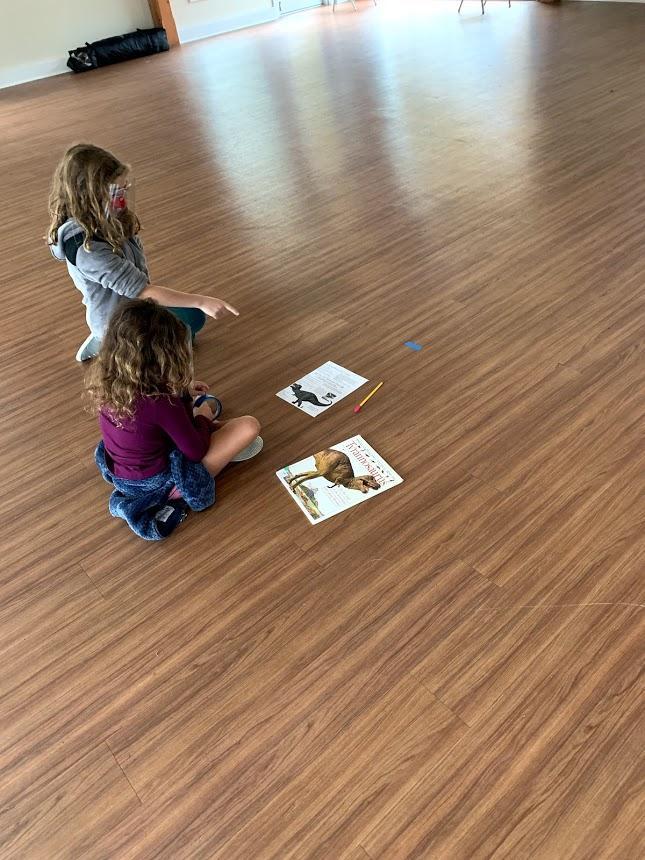 Inspiration for Montessori Great Work 3 Researching the size of the T-Rex