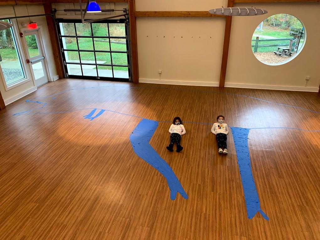 Inspiration for Montessori Great Work 7 A completed T-Rex to scale