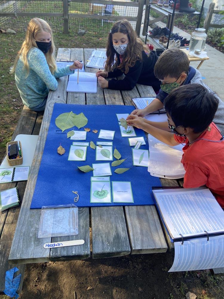 Learning In-Person in the Upper Elementary Montessori Classroom 6 Learning In Person in the Upper Elementary Classroom