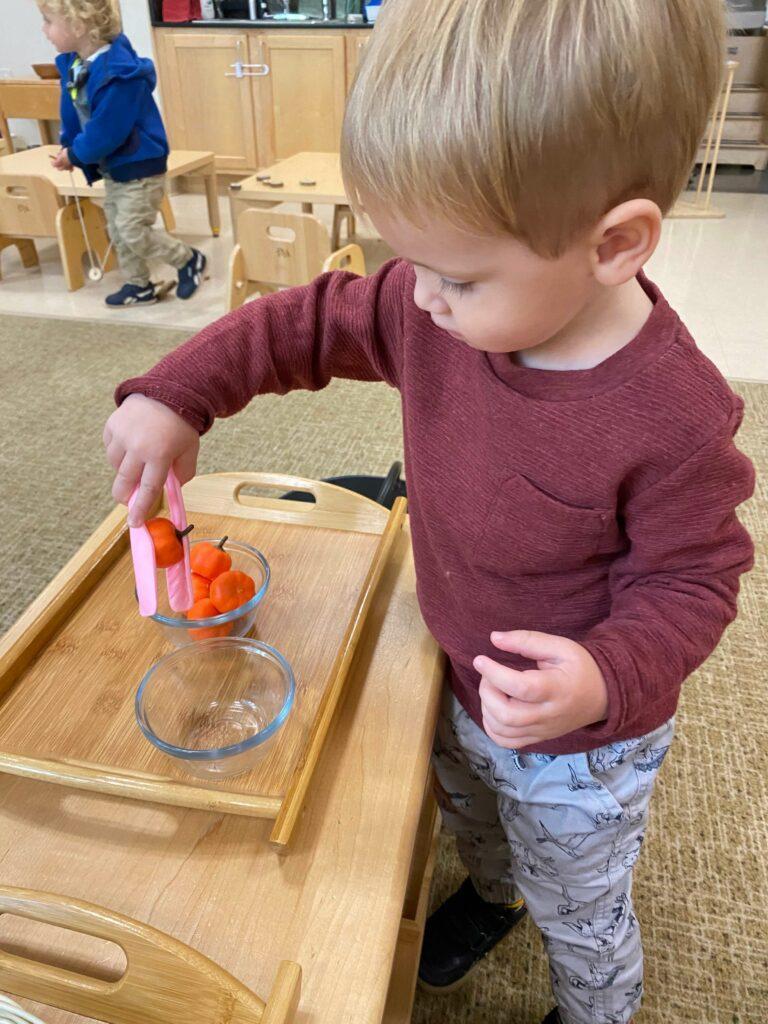 Quest Montessori School Toddler Activities