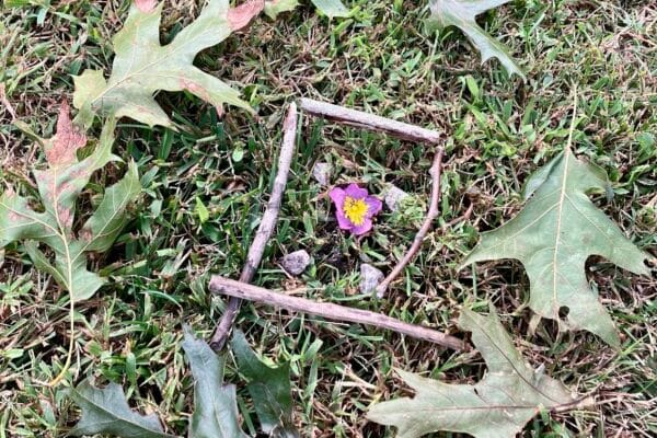 Nurturing Growth Outside of Academics
