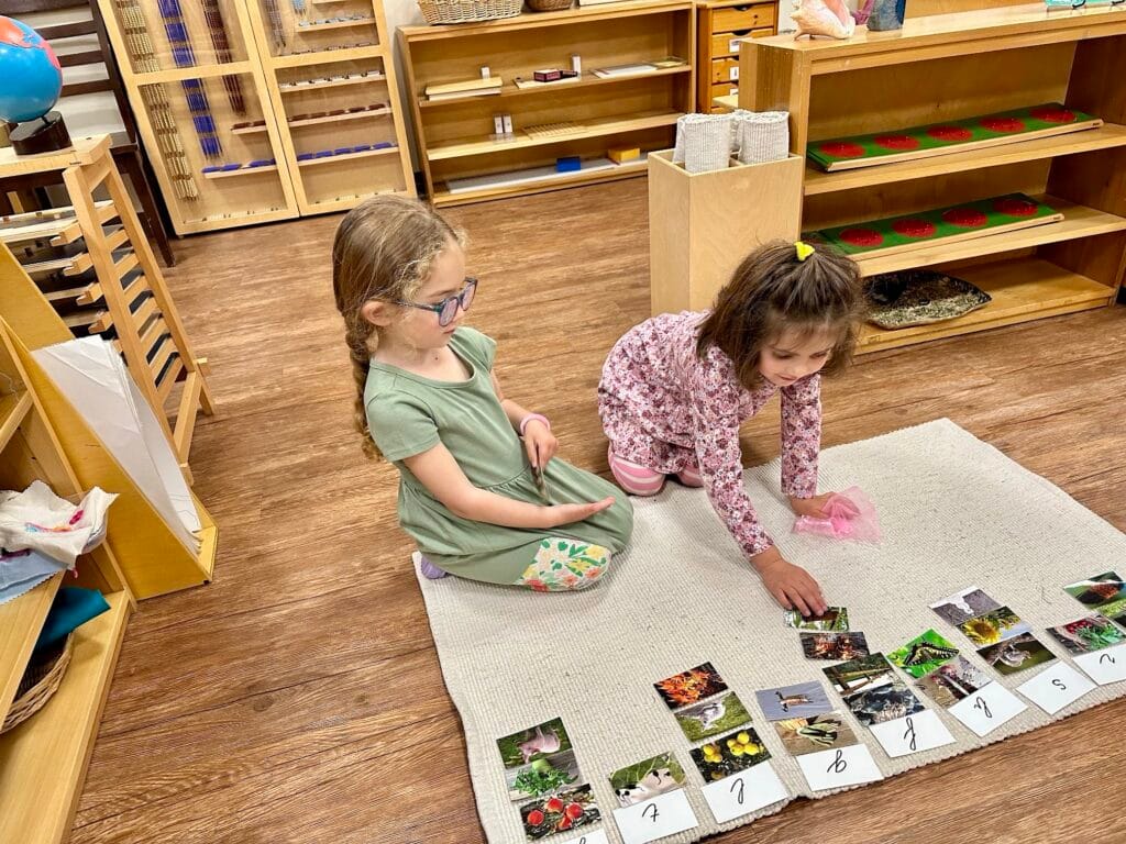 The Power of Multi-Age Classrooms at Quest Montessori 2 The Power of Multi-Age Classrooms at Quest Montessori