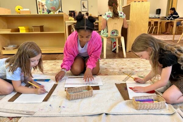 Experience the Wonder of a Day in Lower Elementary