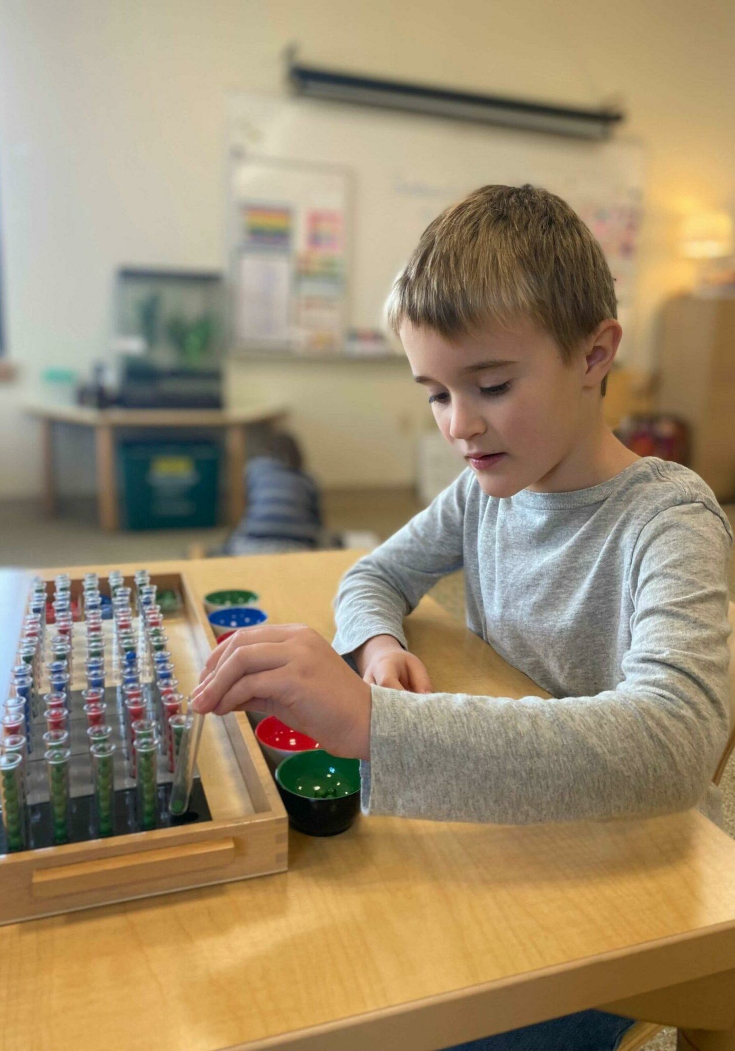 02 Montessori Materials Quest Montessori School Montessori Materials